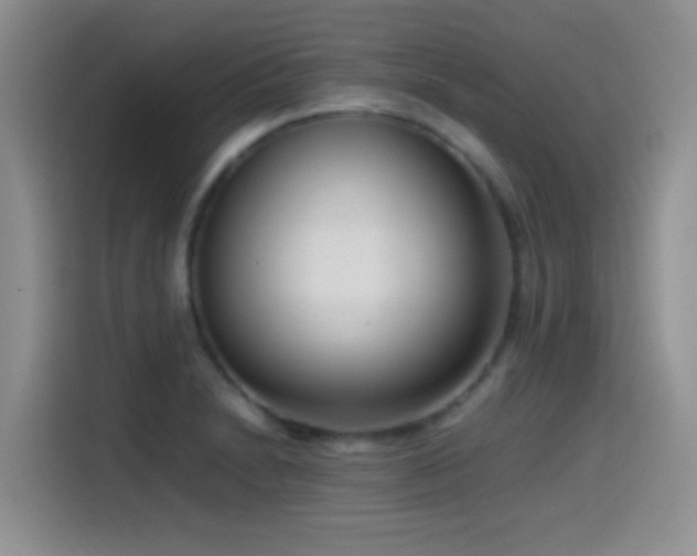 X0000115541230200911061453