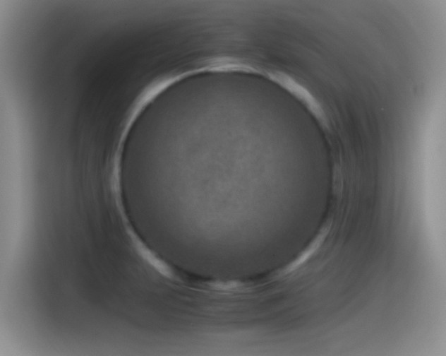 X0000115541231200911061454