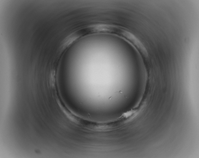 X0000115541233200911061454