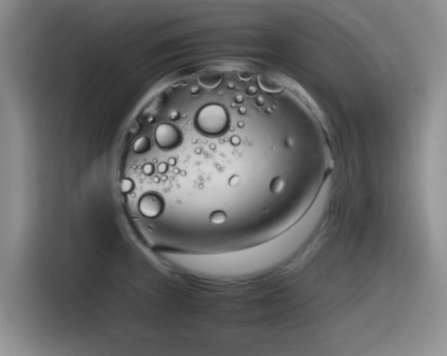 X0000115541235200911061454