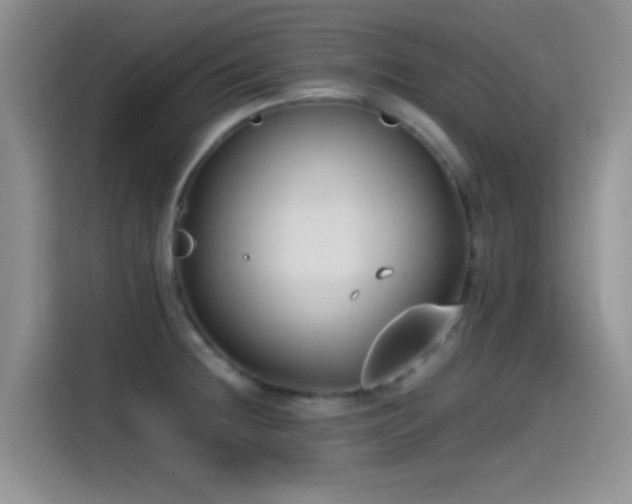 X0000115541236200911061454