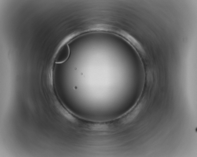 X0000115541238200911061454