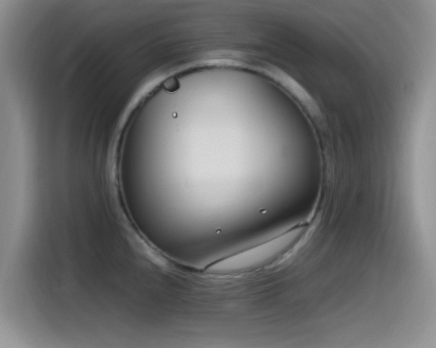 X0000115541240200911061454