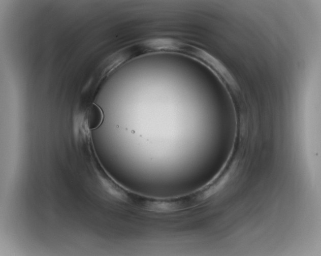 X0000115541241200911061454