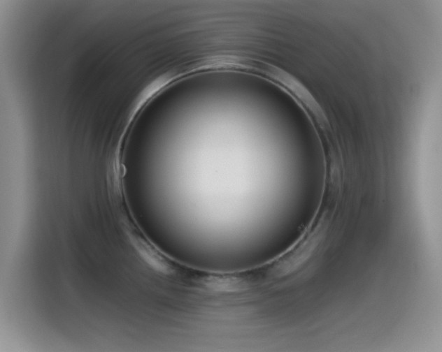 X0000115541242200911061454