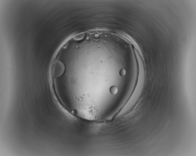 X0000115541243200911061454