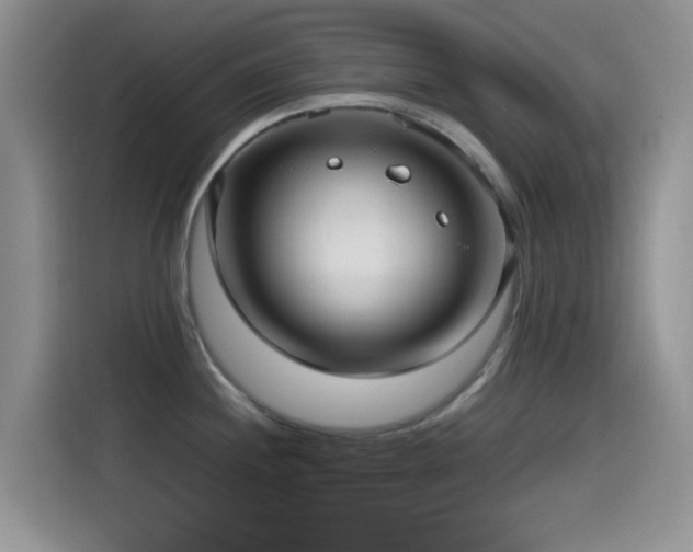 X0000115541244200911061454