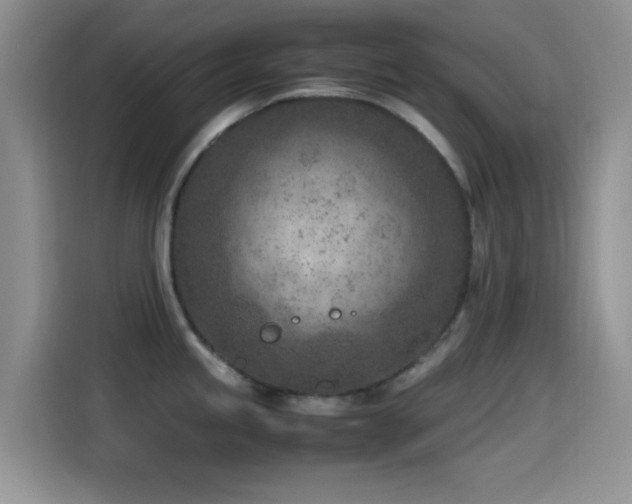 X0000115541245200911061454