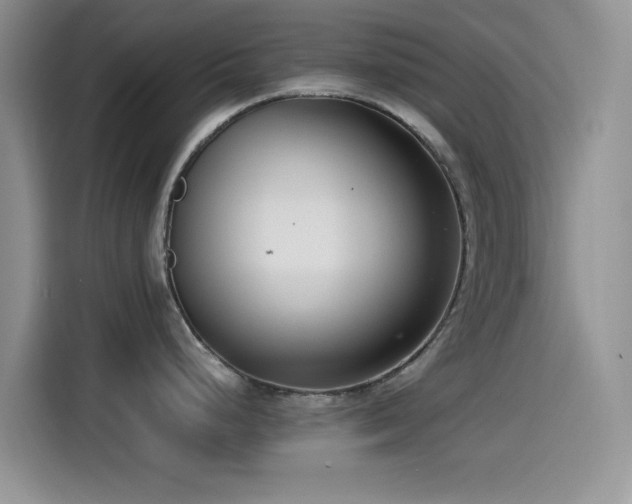 X0000115541248200911061454