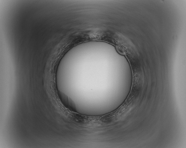 X0000115541249200911061453