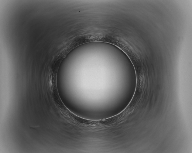 X0000115541250200911061453