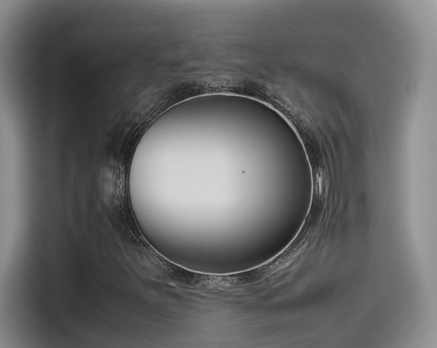 X0000115541251200911061453