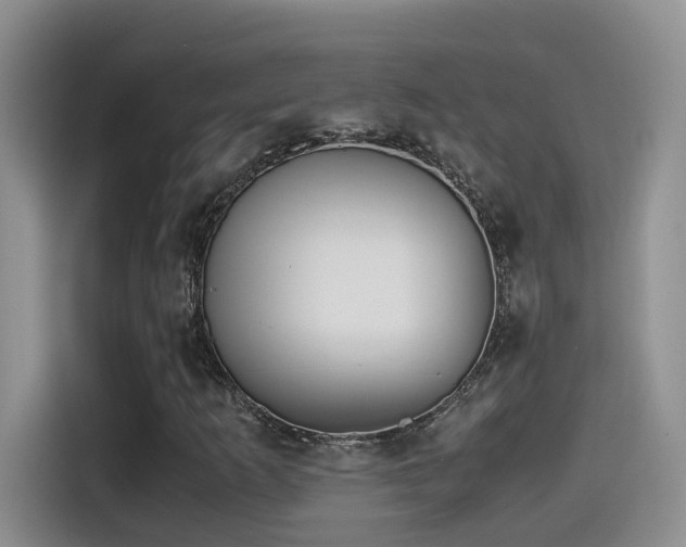 X0000115541253200911061453