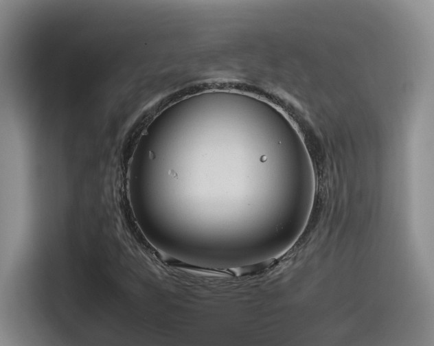 X0000115541255200911061453