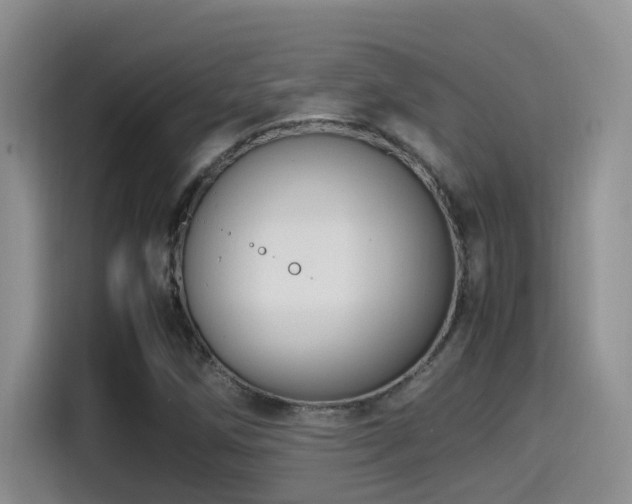 X0000115541258200911061453