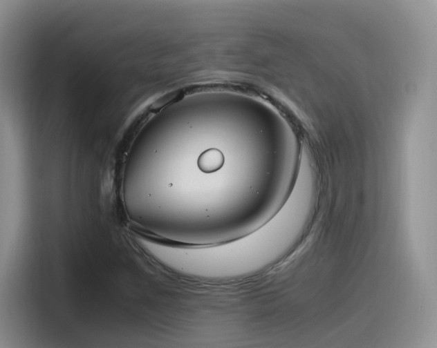 X0000115541259200911061453