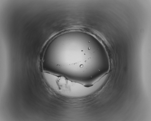 X0000115541260200911061453