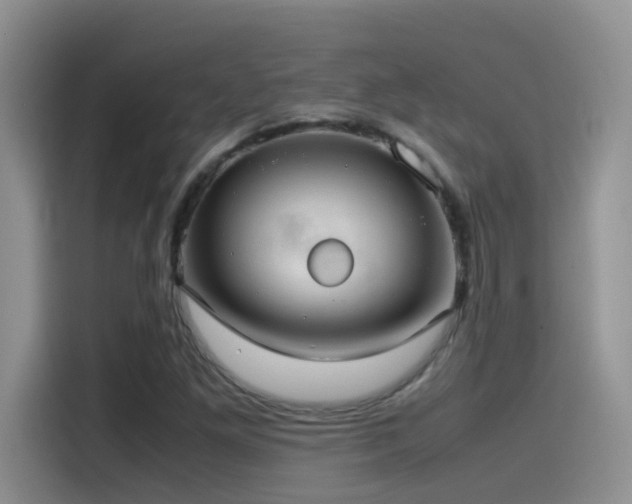 X0000115541261200911061453