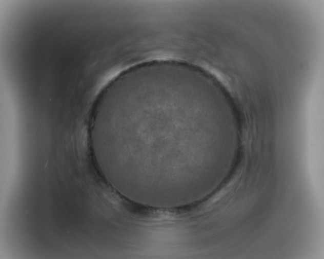 X0000115541263200911061453