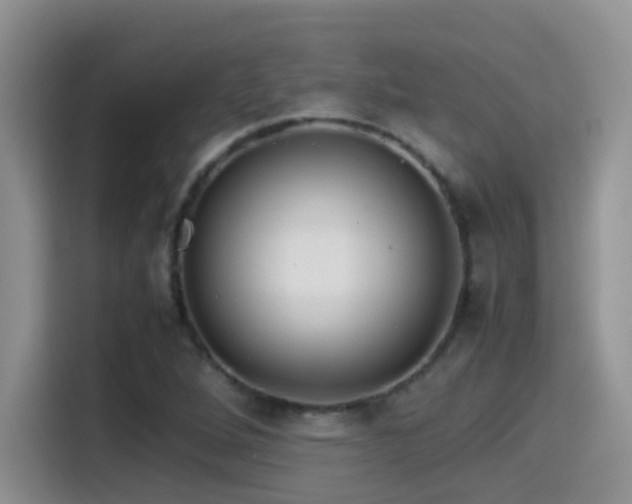 X0000115541264200911061453