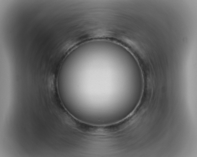 X0000115541265200911061453