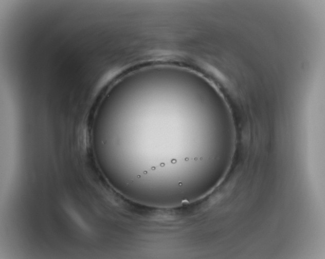 X0000115541267200911061453