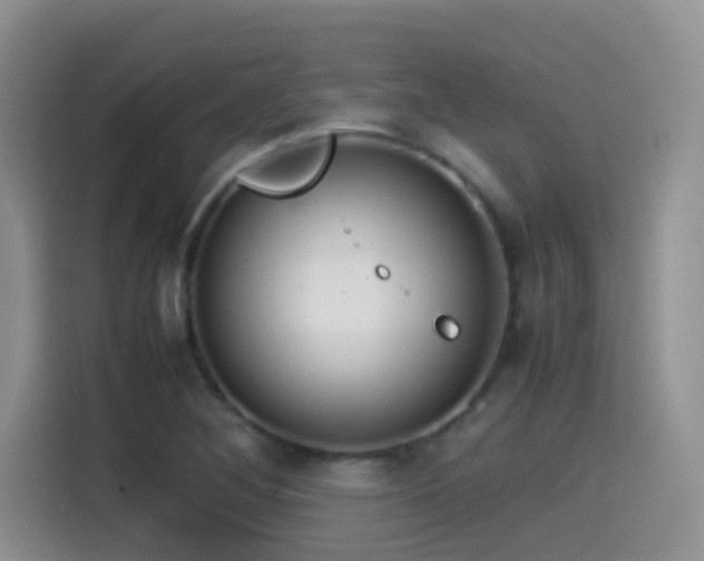 X0000115541268200911061453