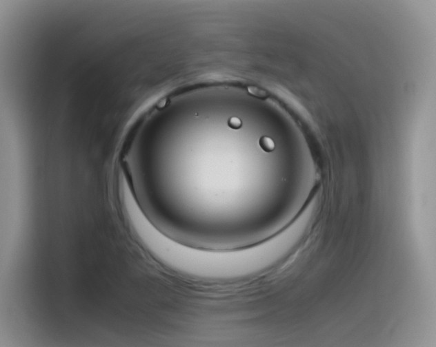 X0000115541269200911061453