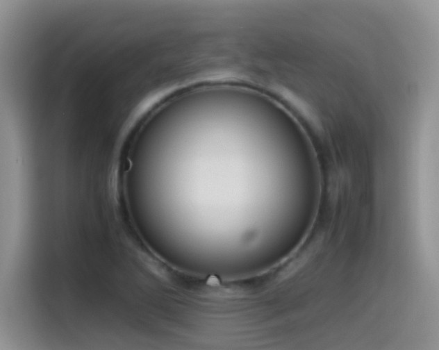 X0000115541270200911061453