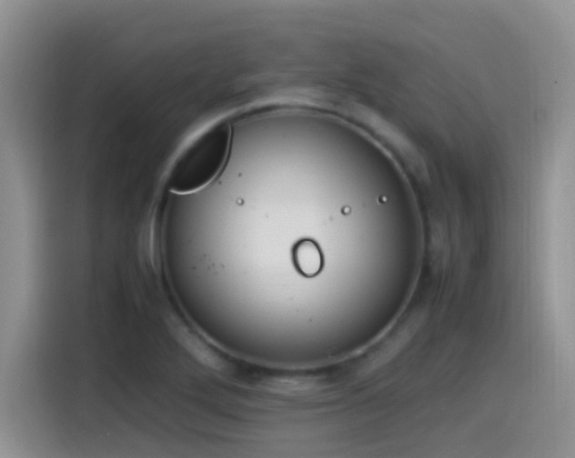 X0000115541272200911061453