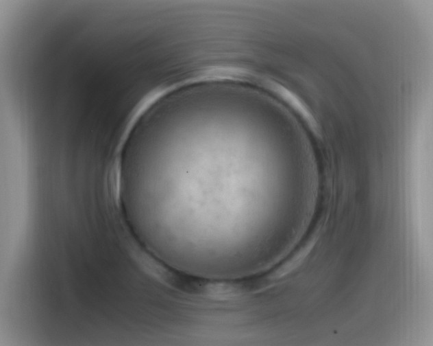 X0000115541275200911061453