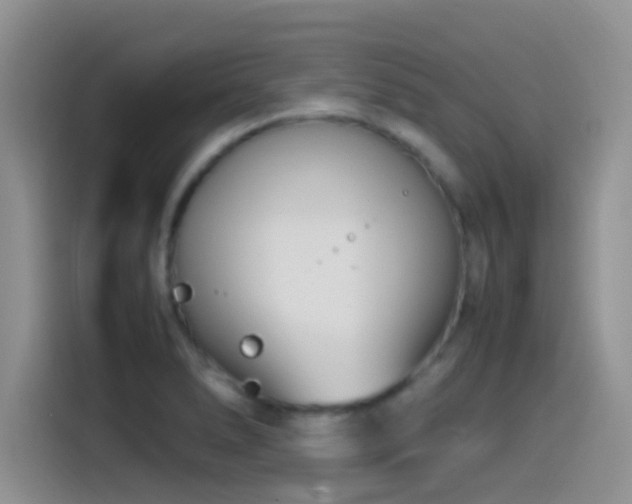 X0000115541278200911061453