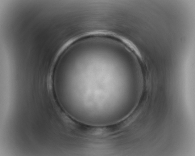 X0000115541279200911061453