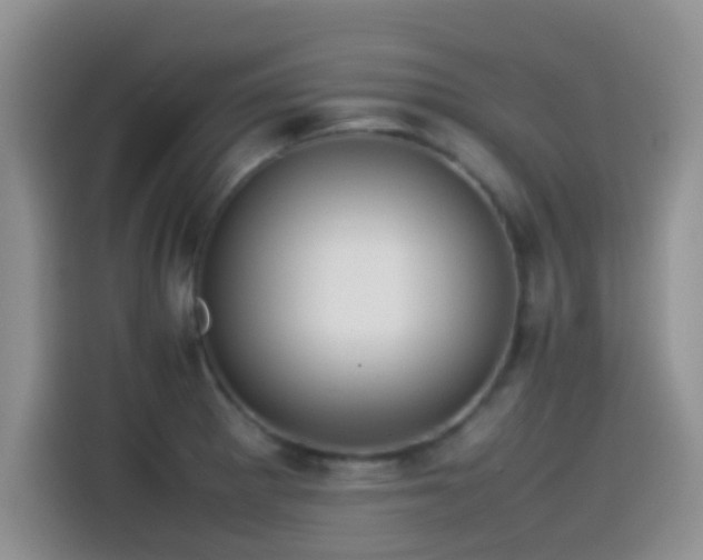 X0000115541281200911061453