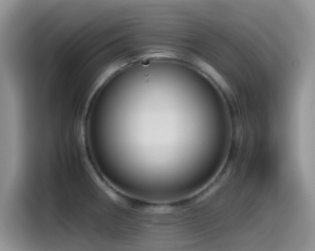 X0000115541282200911061453