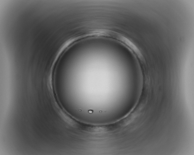 X0000115541283200911061453