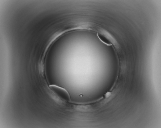 X0000115541284200911061453