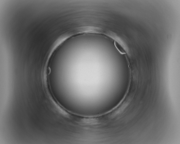 X0000115541285200911061453