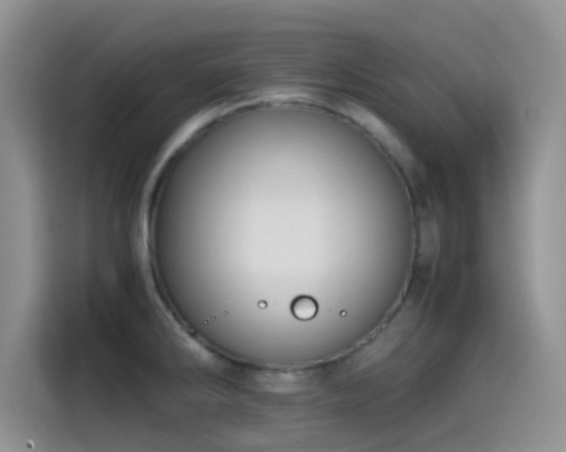 X0000115541286200911061453