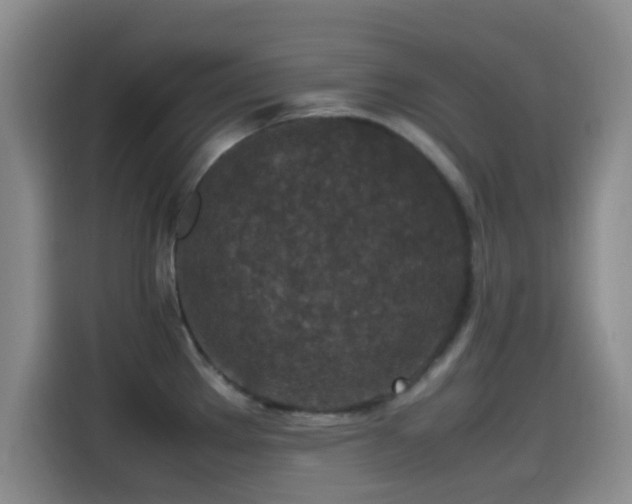 X0000115541289200911061453