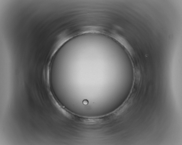 X0000115541290200911061453