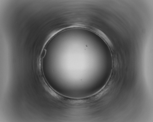 X0000115541292200911061453