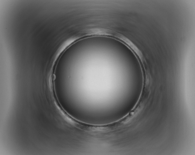 X0000115541293200911061453