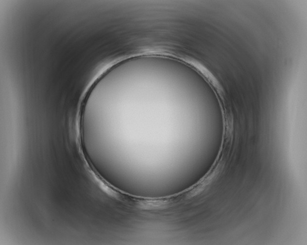 X0000115541294200911061453