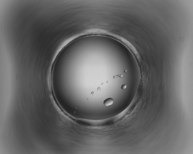 X0000115541295200911061453