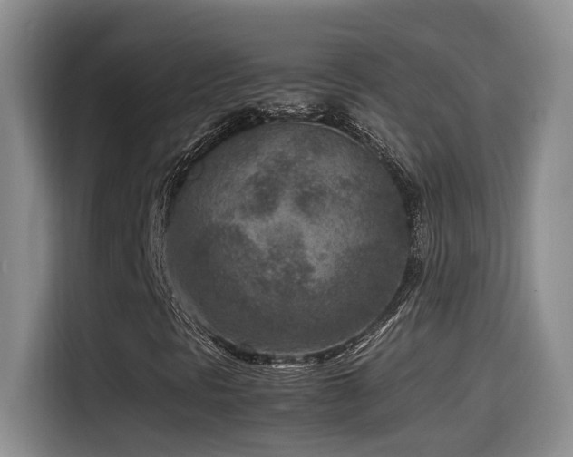 X0000115541297200911061452