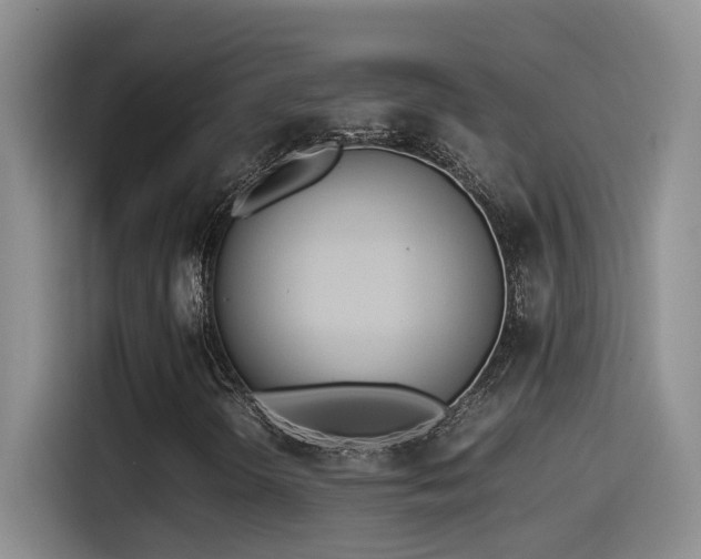 X0000115541298200911061452