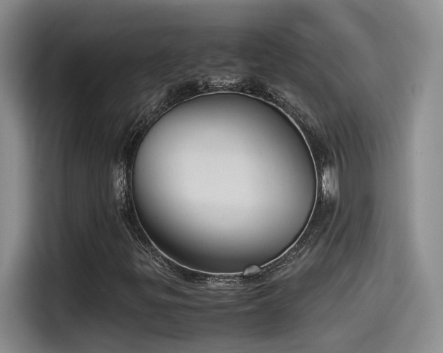 X0000115541299200911061452