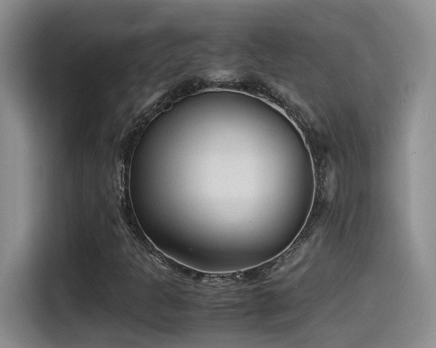 X0000115541301200911061452