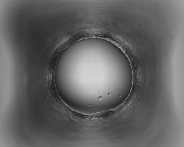 X0000115541302200911061452